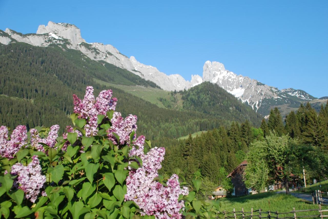 Alpenhaus Donnerkogel Apartment Annaberg im Lammertal Luaran gambar