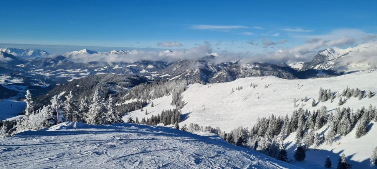 Alpenhaus Donnerkogel Apartment Annaberg im Lammertal Luaran gambar